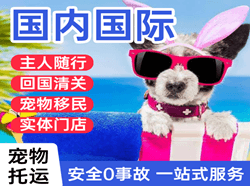 兴东机场快运国际宠物托运 【国